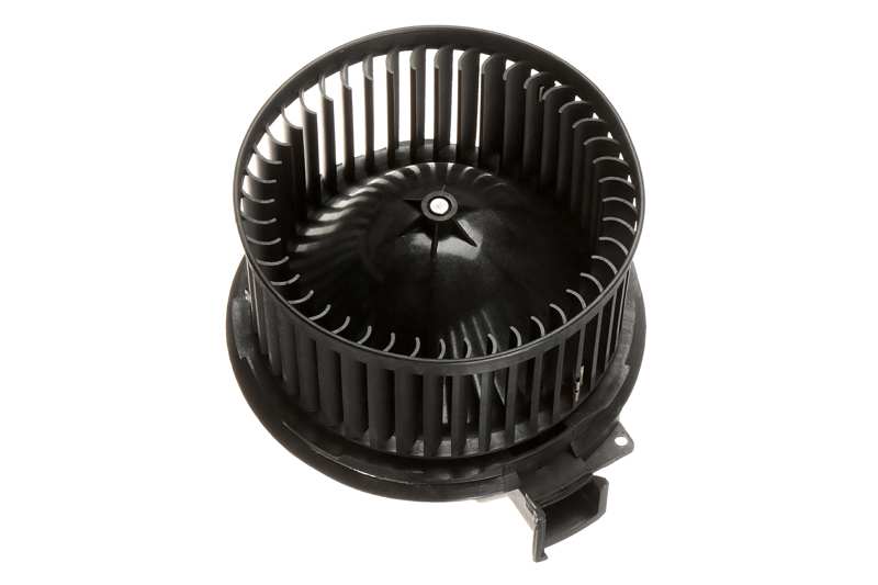Blower motor